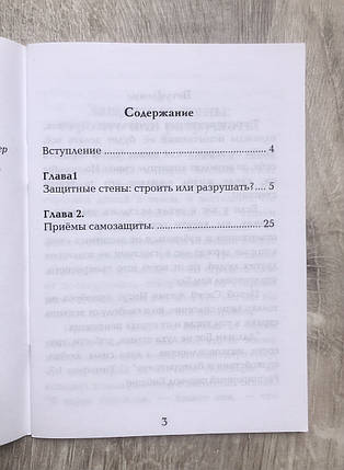 Захисні стіни Джойс Майєр, фото 2