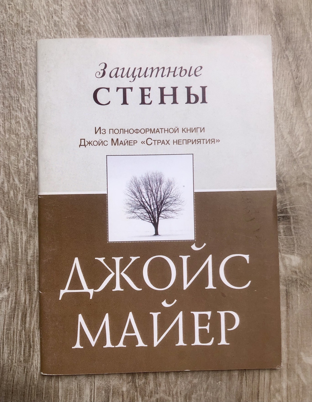 Захисні стіни Джойс Майєр