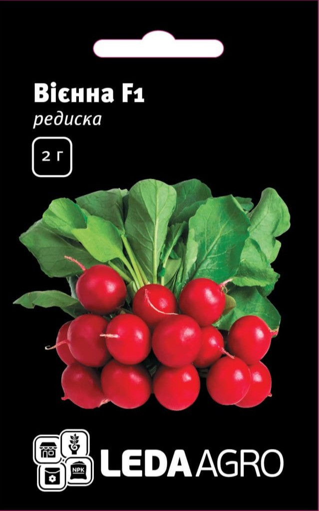 Редис Вієнна F1, 2 г (Leda Agro), фото 1
