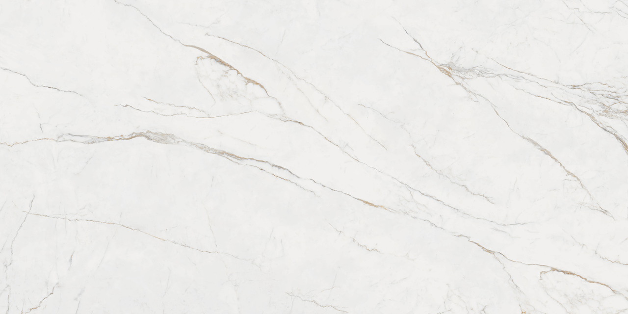 Плитка Inter Gres FLORINO світло-сіра 600*1200 (POLISHED)