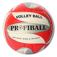 Волейбольні м'ячі