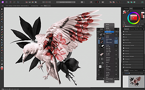 Affinity Photo (1.10.6) на 1 пристрій Lifetime (Довічний ліцензійний ключ), фото 5