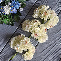 Букет хризантема лимонна на ніжках