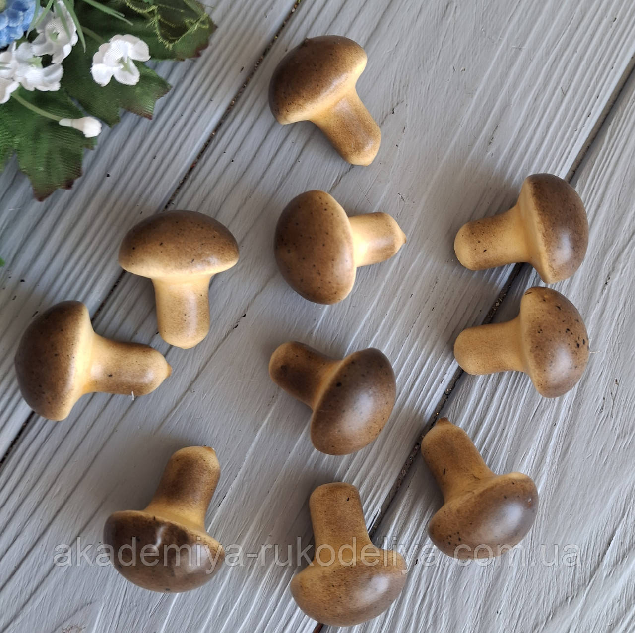 Гриб штучне паковання 10 шт., фото 1