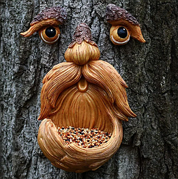 Годівниці та гнізда для диких птахів