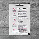 Буряк Пабло F1 200 шт насіння пакетоване Спектр Сад, фото 2