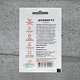 Морква Болівар F1 400 шт насіння пакетоване Спектр Сад, фото 2