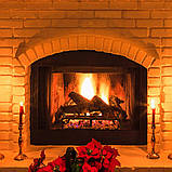 Решітка для дров VEVOR 27 дюймів зі сталі з порошковим покриттям, стійка для спалювання дров 323367, фото 8