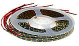 Світлодіодна стрічка 12V 0805(120LED/м) IP20 2,5мм, фото 3
