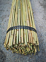 Бамбукова опора L 1,22м д. 10мм. палка, стовбур для підв'язки рослин, помідорів