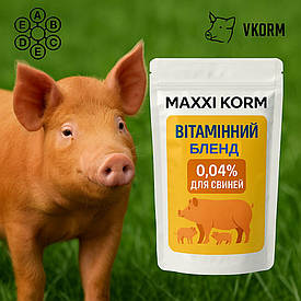 Вітамінний комплекс для свиней 0,04%, 1 кг — здоровий ріст, імунітет, продуктивність