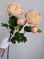 Штучний піон ( персиковий , 63 см ), фото 7