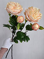 Штучний піон ( персиковий , 63 см ), фото 5