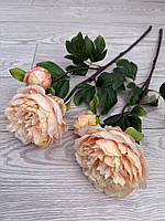 Штучний піон ( персиковий , 63 см ), фото 3