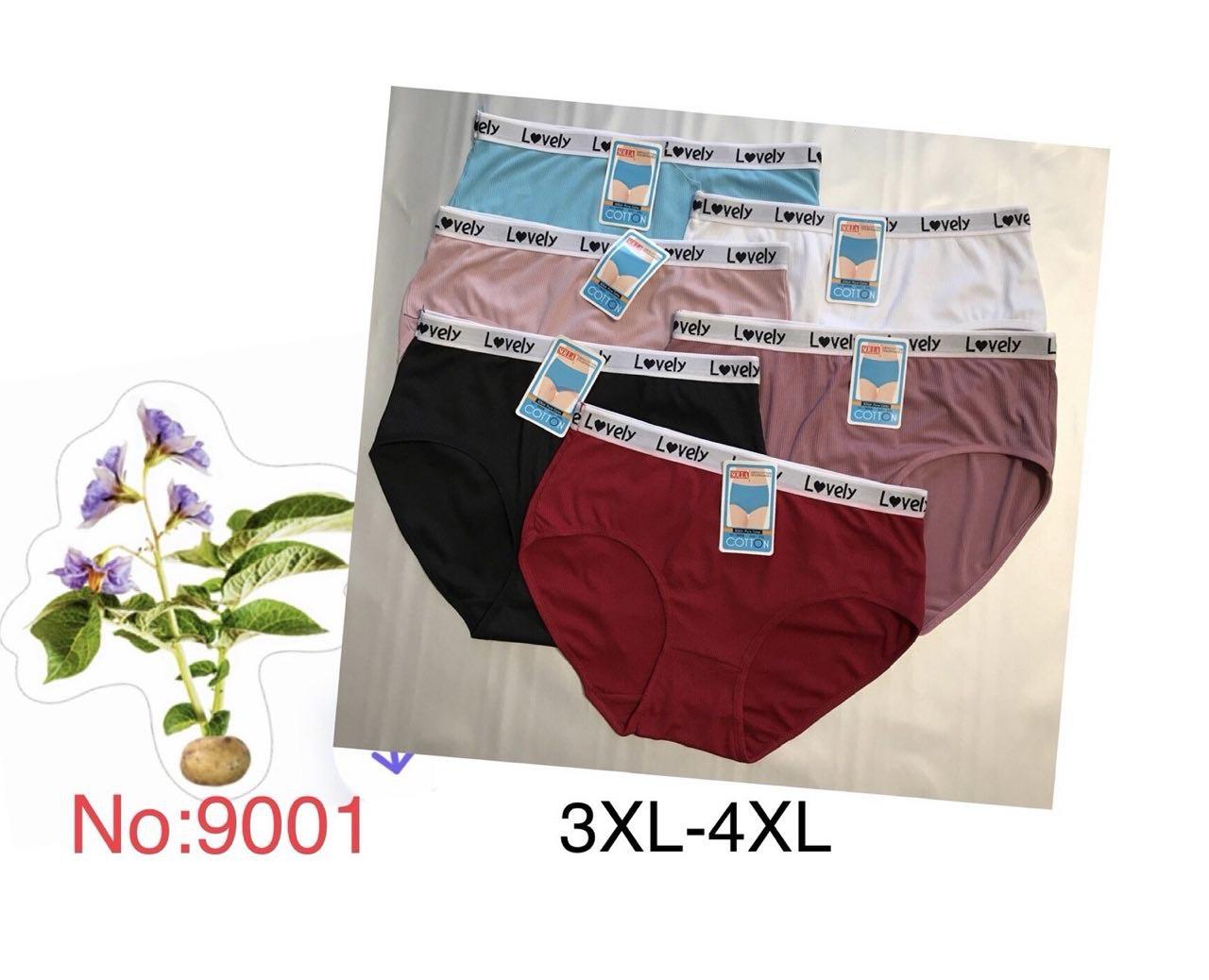 Жіночі трусики 12 штук SOLLA розмір 3XL 4XL мікс кольорів і розмірів напівбатали