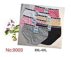 Жіночі трусики 12 штук SOLLA розмір 3XL 4XL мікс кольорів і розмірів напівбатали