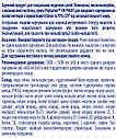 Ентеральне харчування Nestle PEPTAMEN HN PHGG, 500 мл (Пептамен), фото 3