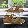 Босоніжки жіночі Inblu коричневі з оливковим шкіряні з пряжкою 4929, фото 2