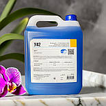 Спиртовмісний засіб для щоденного миття водостійких поверхонь У42 Бланідас, 5 литров, фото 6