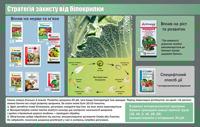 https://agroretail.com.ua/ua/a497597-teplichnaya-belokrylka-alejrodida.html