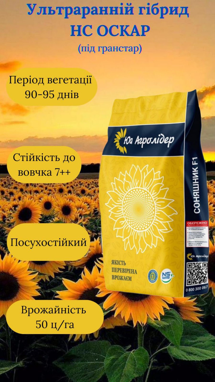 Насіння соняшника НС Оскар під Гранстар (Ультраранній A-G++), фото 1