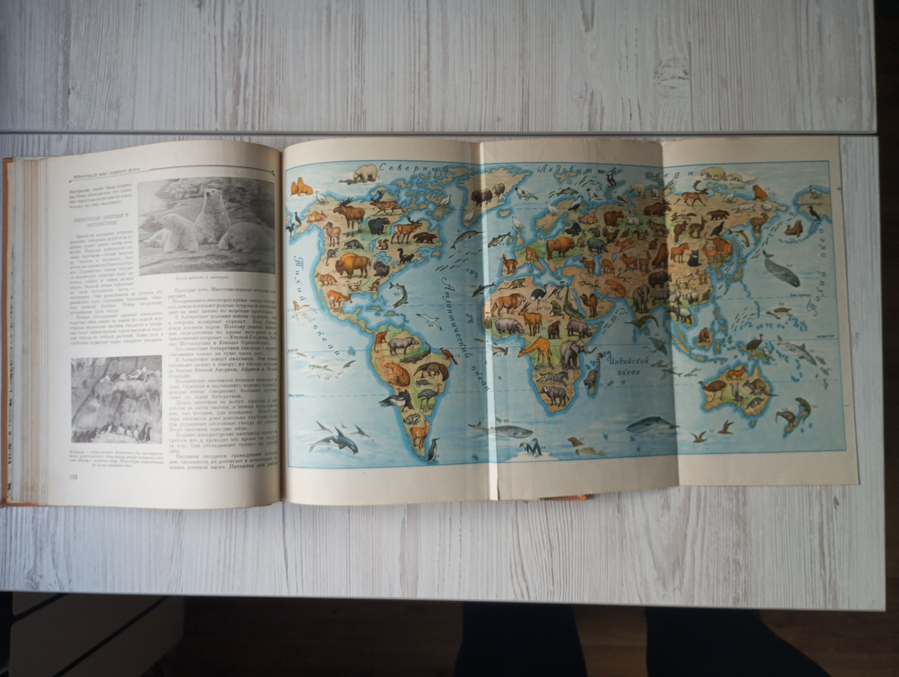 Product image preview