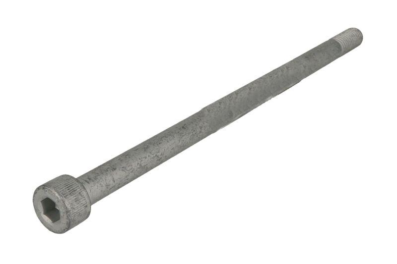 Болт M8 SCHMITZ 1304798