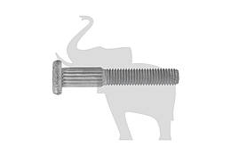 Болт Ø10х65 SCHMITZ