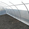 Теплична плівка 4х10м, Прозора / Плівка для парників / Плівка для теплиць / Плівка для укриття теплиць, фото 10