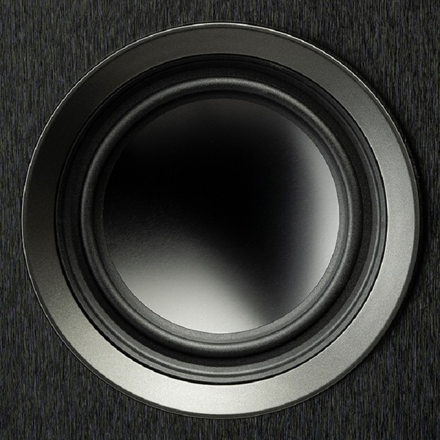 Martin Logan Motion Foundation Black - aluminum drivers