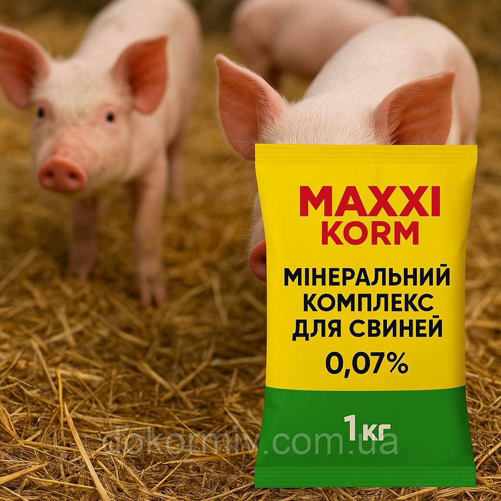 Мінеральний комплекс для свиней MAXXI KORM, 0.07%
