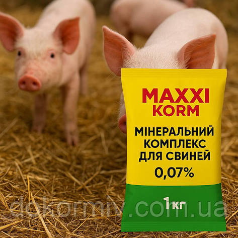 Мінеральний комплекс для свиней MAXXI KORM, 0.07%, фото 1
