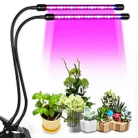 Фітолампа повного спектра для вирощування мікрозелених на підставці 2 лампи LAMP MA MARK