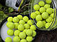 Поп апи CC Moore Carp Freaks Pop Ups Yellow 12mm (55шт), жовті фруктові плаваючі бойли CCMoore + бустер, фото 5