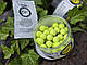 Поп апи CC Moore Carp Freaks Pop Ups Yellow 12mm (55шт), жовті фруктові плаваючі бойли CCMoore + бустер, фото 8