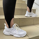 Лосини жіночі тонкі зі стрейчем зі штрипками М чорні, фото 9