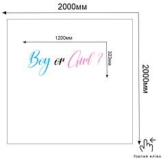 Напис на банер 2*2м - Boy or Girl?
