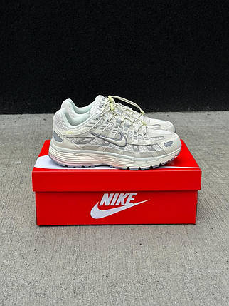 Женские кросівки Nike P-6000 Beige Grey Violet Взуття Найк П-6000 бежеві сітка гладка шкіра демісезонні, фото 1