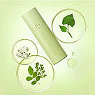 Есенція заспокійлива веганська Manyo Our Vegan Heartleaf Moisture Calming Essence 70 ml, фото 3