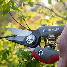 Секатор-ножиці Chikamasa TS-66B для збору плодів і обрізки (Японія), фото 6