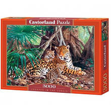 Пазл Касторленд 3000 (280) Леопарді 92*68 см