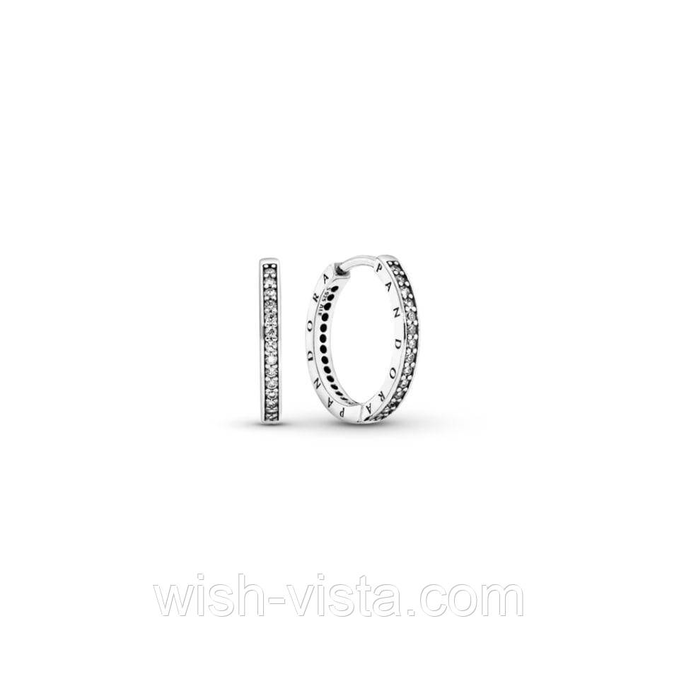 Сережки сяйливі з логотипом No Brand 290558CZ (2558107199), фото 1