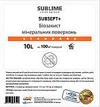 Біозахист  мінеральних поверхонь  SUBSEPT + Standard 10 л, фото 3