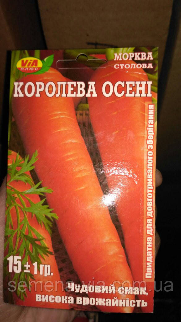 Насіння моркви Королева осені 15 грамів ТМ VIA плюс