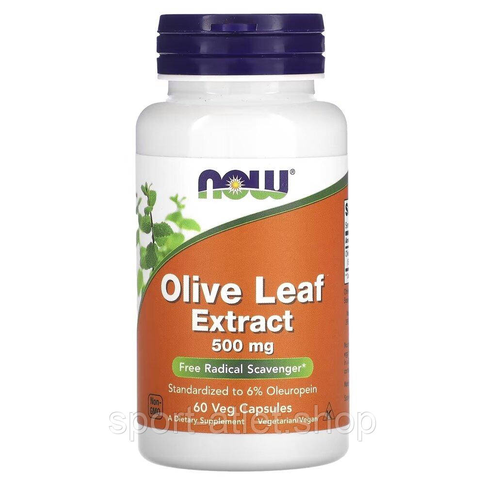 Натуральна добавка NOW Olive Leaf 500 mg, 60 вегакапсул, фото 1