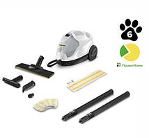 Пароочищувачі