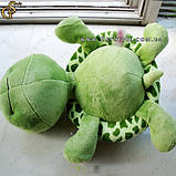 Мила плюшева черепашка — "Tortoise Doll" — 20 х 15 см, фото 3