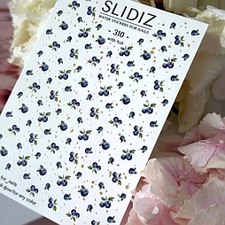 Слайдер-дизайн SLIDIZ 310