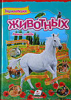 Енциклопедія тварин. Наші сусіди
