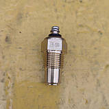 Датчик температури ТМ-100 під болт ГАЗ, УАЗ, ЮМЗ, МТЗ, Болгарія, фото 3